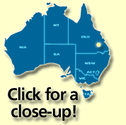 Click for a close-up!